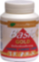 BodyfitPro Basic Gold
