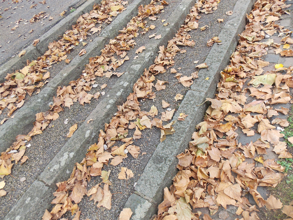DSCN0985