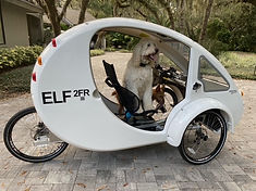 AA582 side with dog.jpeg