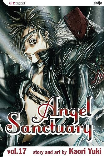 Angel Sanctuary 17