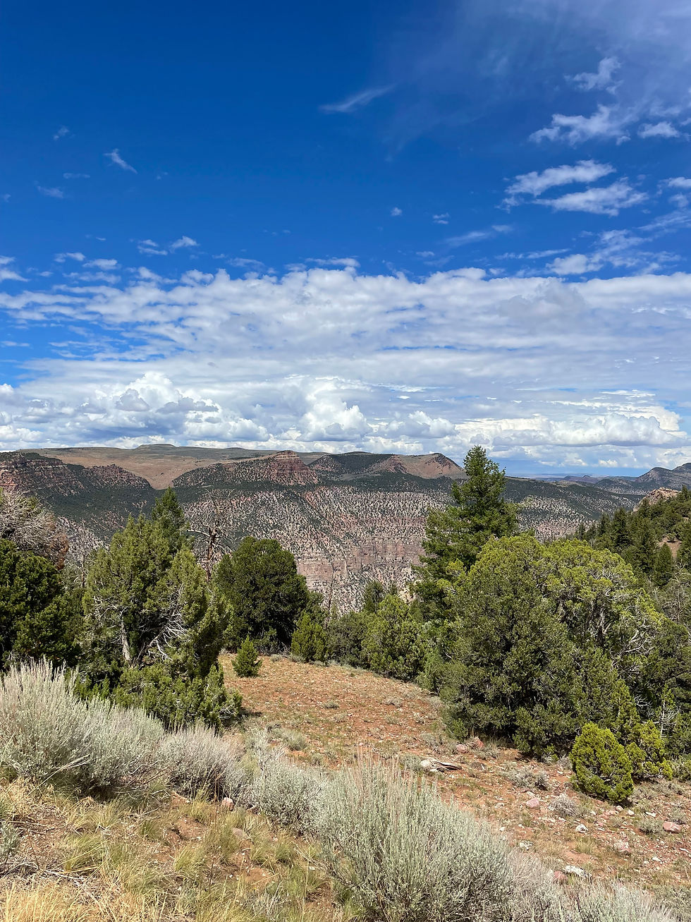 Blue sky with scattered clouds of rocky canyon and evergreen trees, a wide scenic mountain landscape in bright daylight