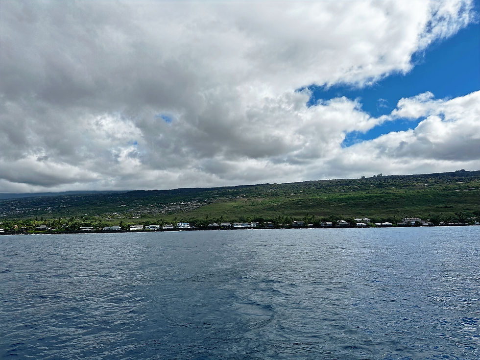 Wide ocean view of a green coastal hillside with houses under dramatic clouds and blue sky, calm and expansive mood