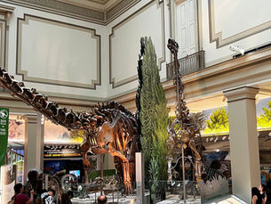 Visiting the Smithsonian Natural History Museum with Kids: A Survival Guide