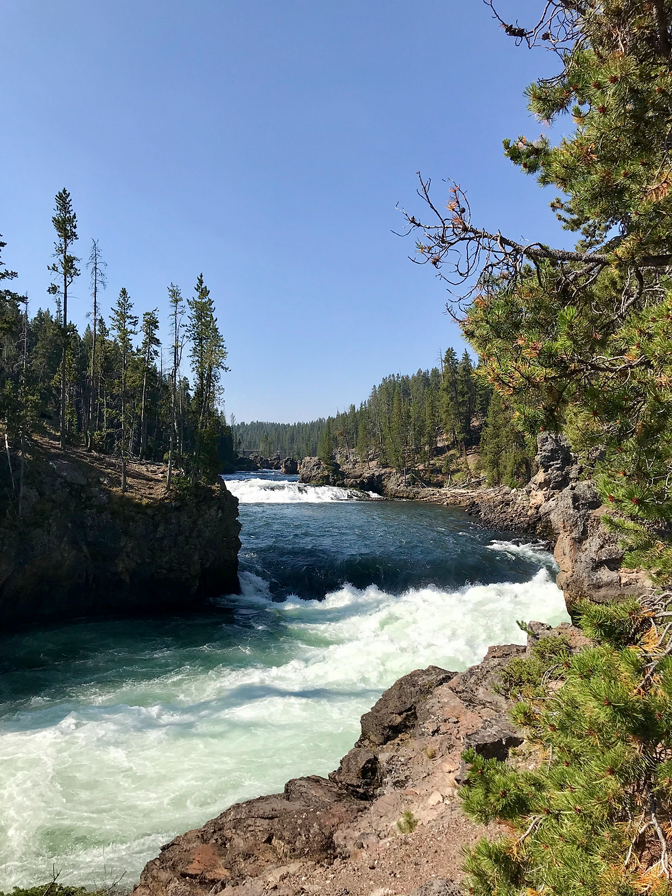 7 Ways to Make Yellowstone Unforgettable for Elementary-Aged Kids