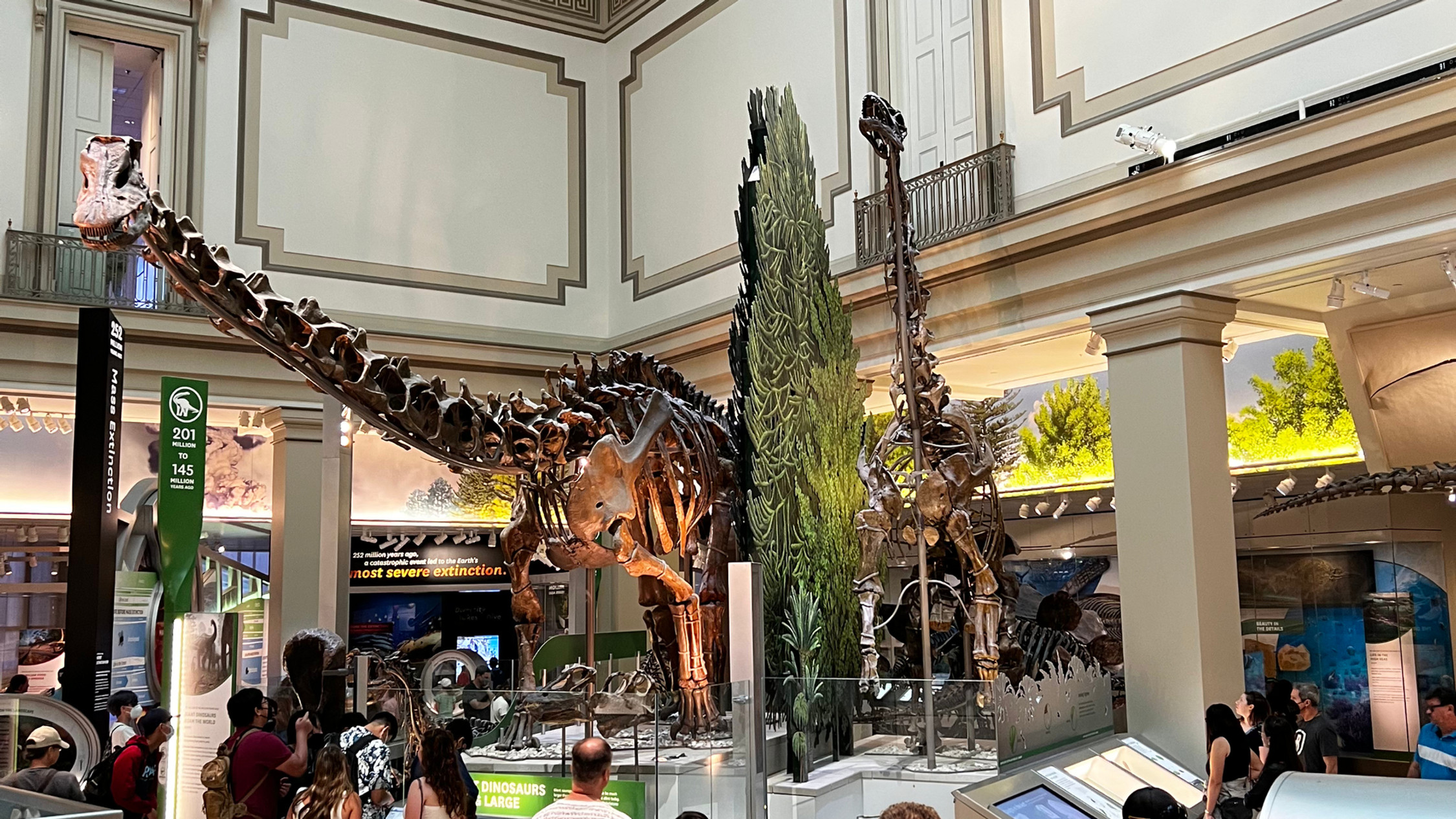 Visitors view dinosaur skeletons in a grand museum hall with tall ornate walls and exhibit signs.