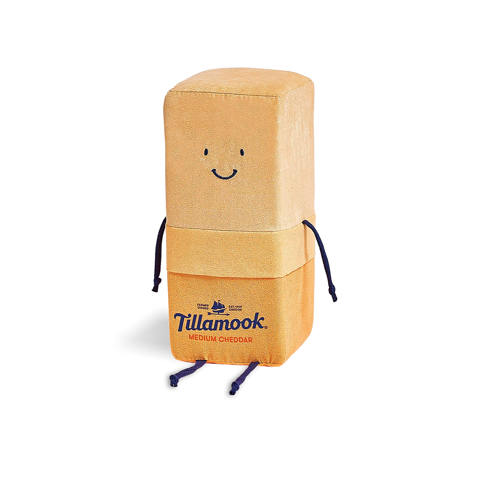 Smiling Tillamook Medium Cheddar cheese package character on a black background, with blue string arms and legs