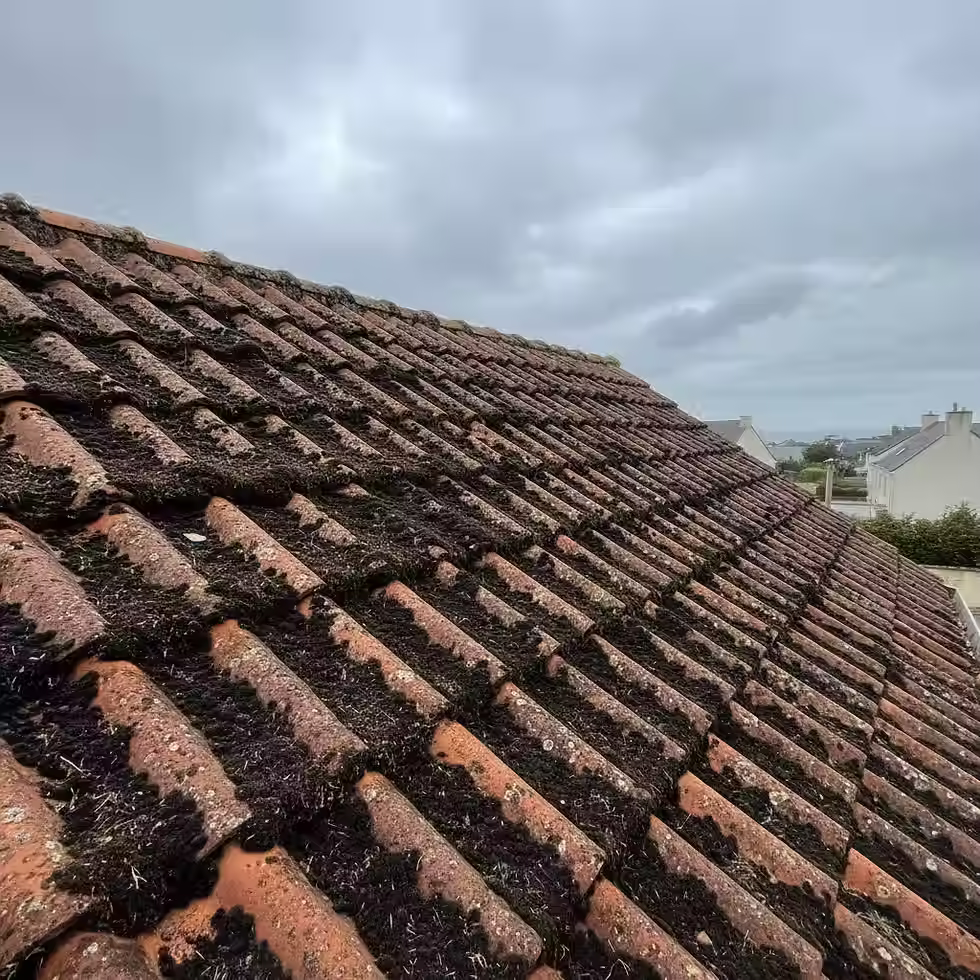 Une toiture de tuiles couvertes de mousse et de terre en décomposition.