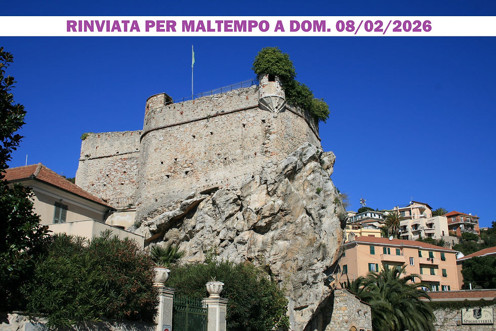 Domenica 8 Febbraio 2026