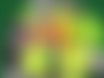 IX Simpósio Internacional sobre a Juventude Brasileira - Jubra