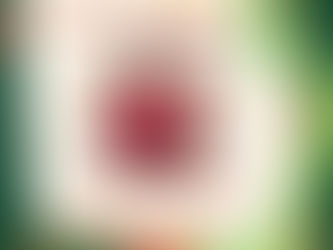 IX Simpósio Internacional sobre a Juventude Brasileira - Jubra