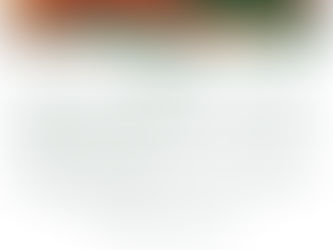 Ampliação do prazo para entrega do artigo para E-Book do IX JUBRA