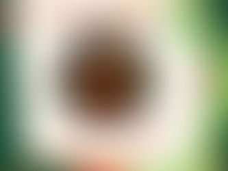 IX Simpósio Internacional sobre a Juventude Brasileira - Jubra