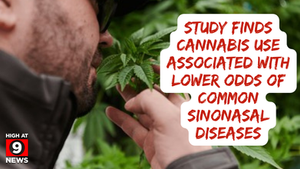 Study Finds Cannabis Use Associated With Lower Odds of Common Sinonasal Diseases