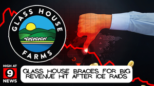 Glass House Braces for Big Revenue Hit After ICE Raids