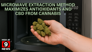 Microwave Extraction Method Maximizes Antioxidants and CBD from Cannabis Leaves