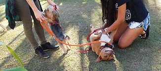 DSCN2183.JPG