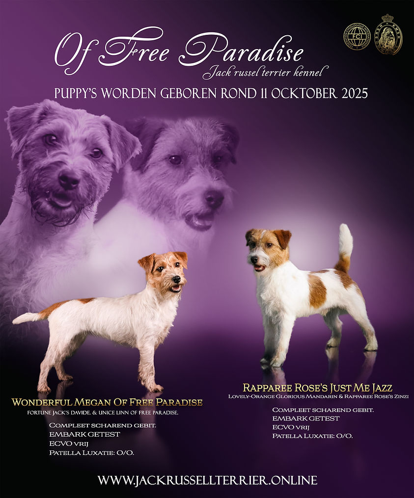 plakat2 (4).jpg