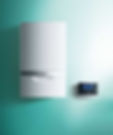 vaillant3.jpg