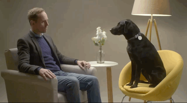 Dogs Trust, Why I Left You