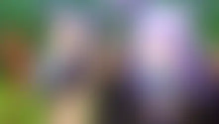 Uma Musume Pretty Derby Horse Girl: Why This “Weird” Gacha Game Became a Global Phenomenon