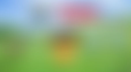 What is Pokémon GO Road Trip 2025?