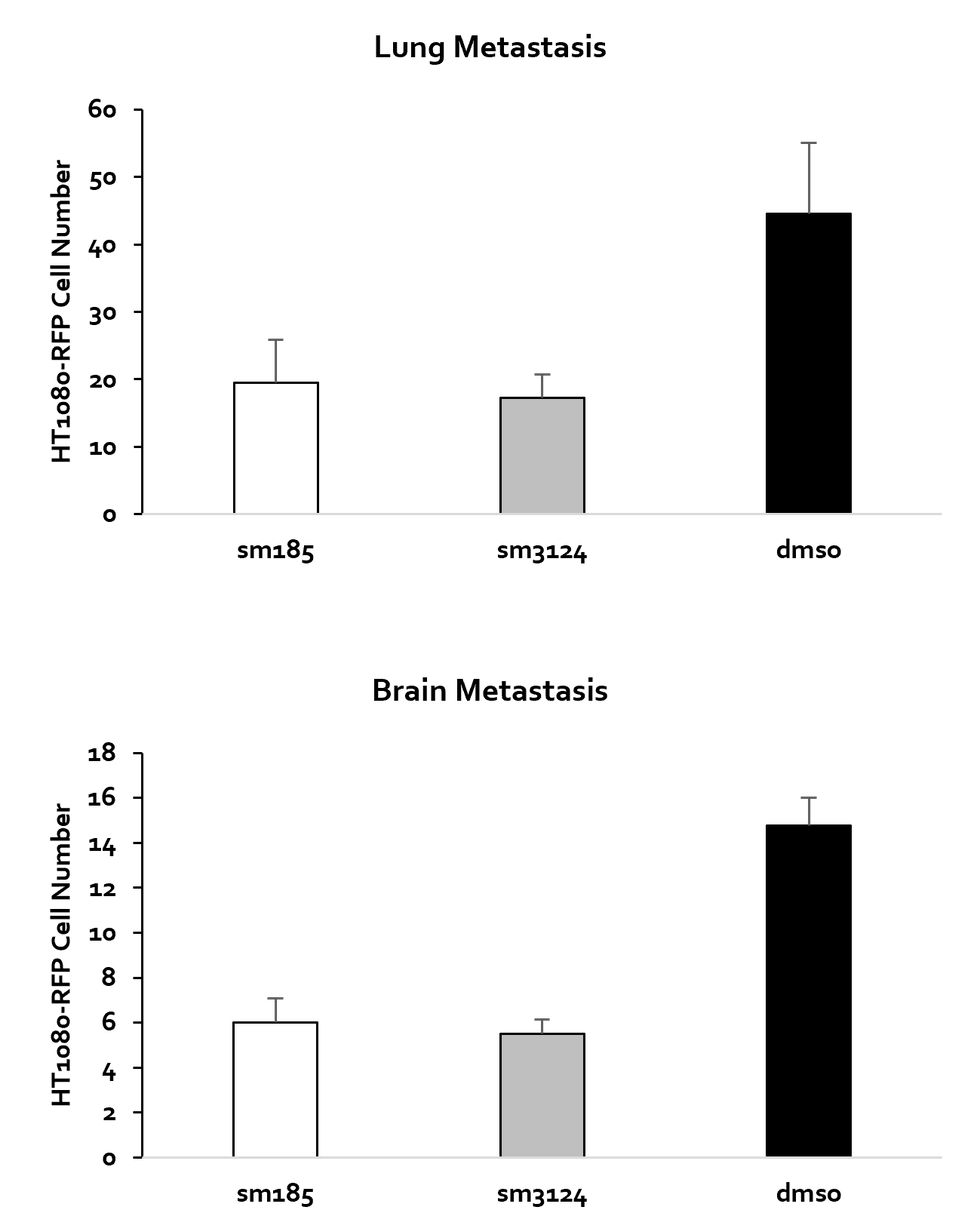 Combination Potential