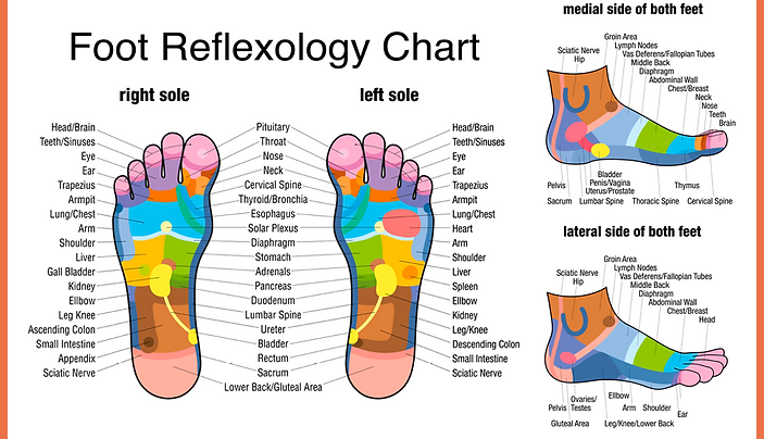 foot chart