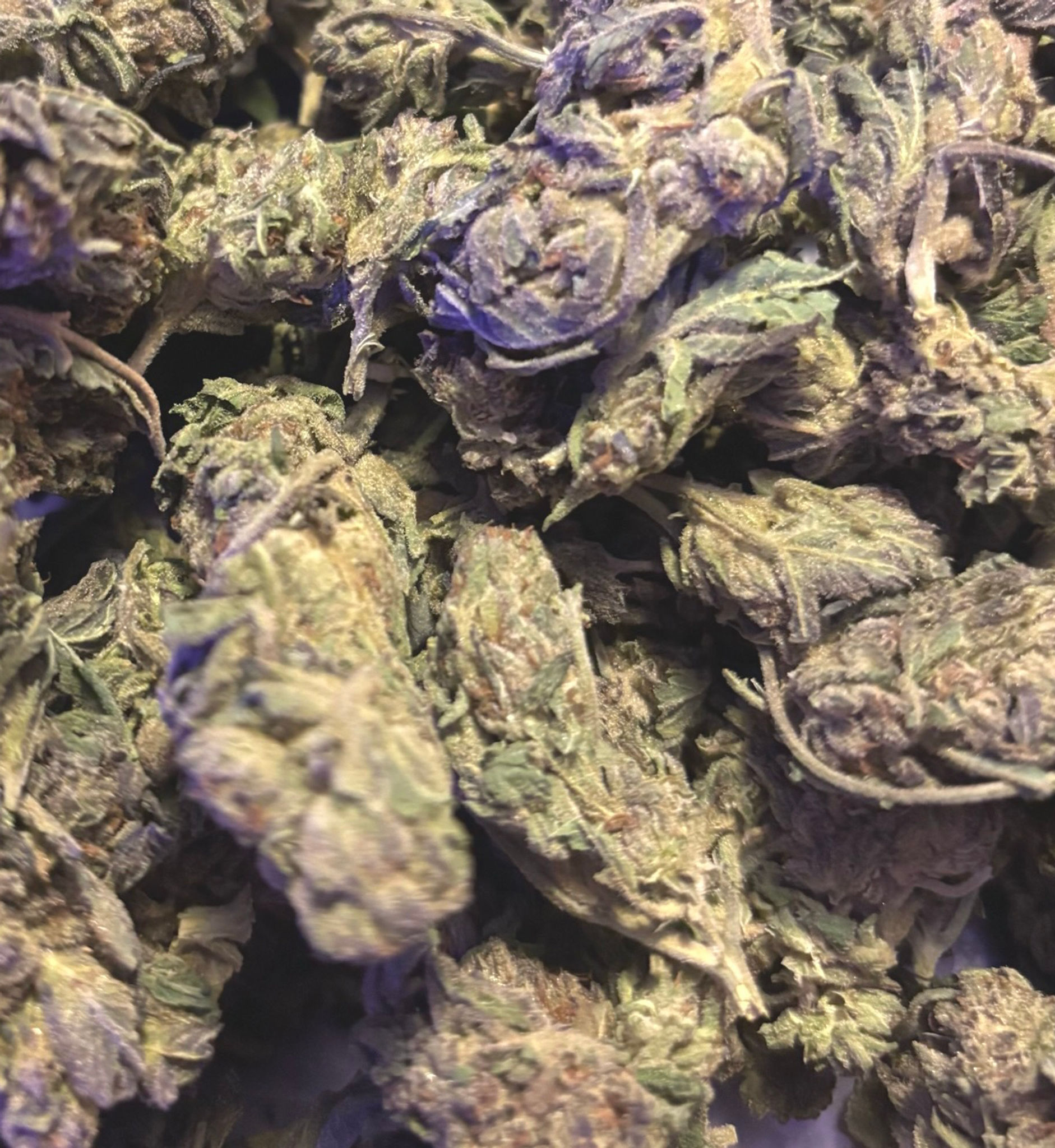 New Value Sativa!! Candy land - THC 24%