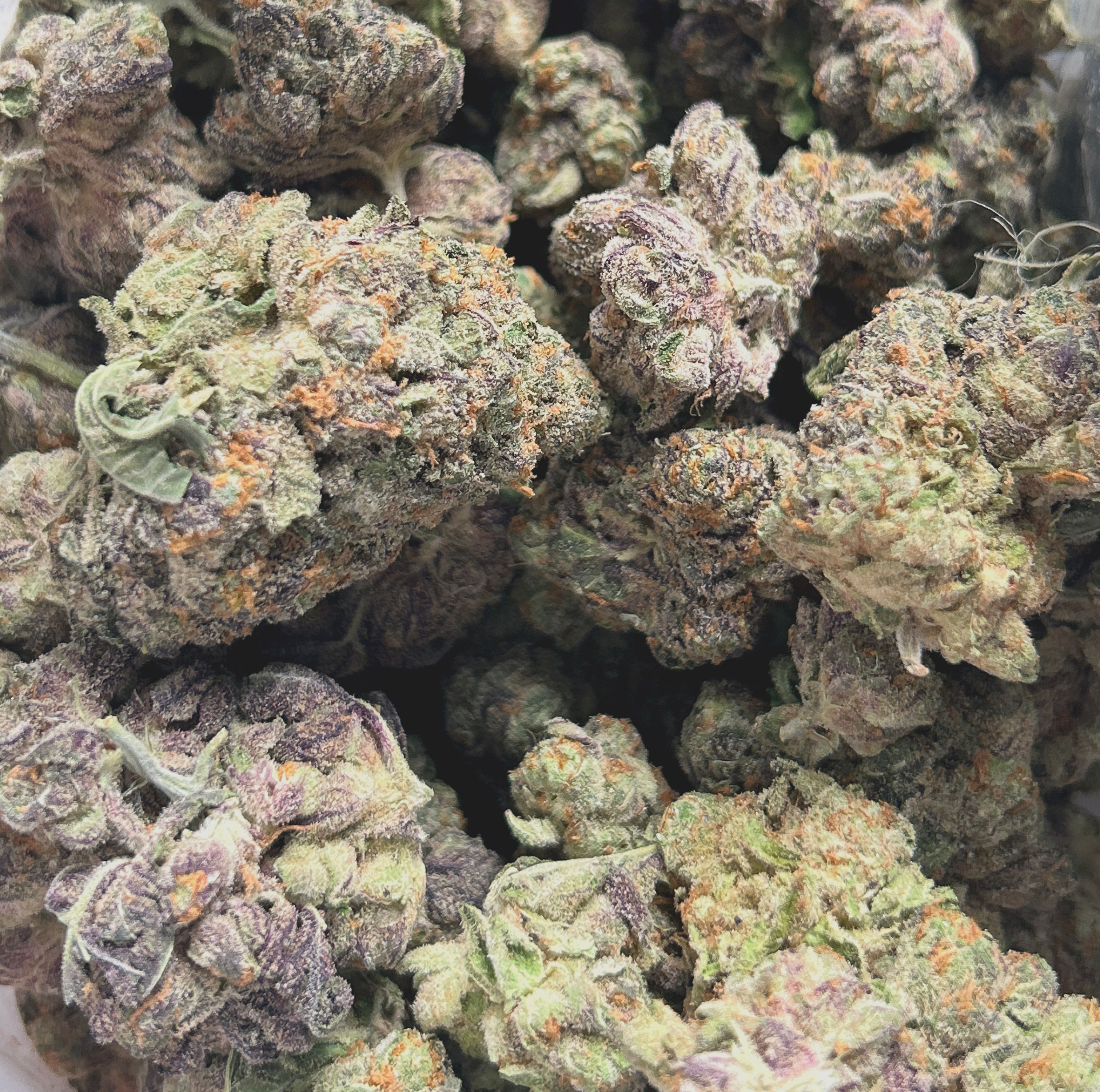 New Hybrid!! Dripz - THC 24%