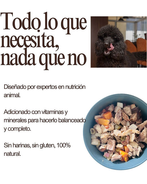 Todo lo que necesita, nada que no.jpg