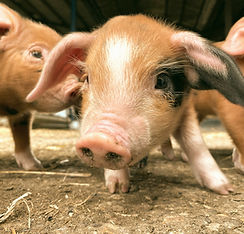 Anytime (3)_edited.jpg