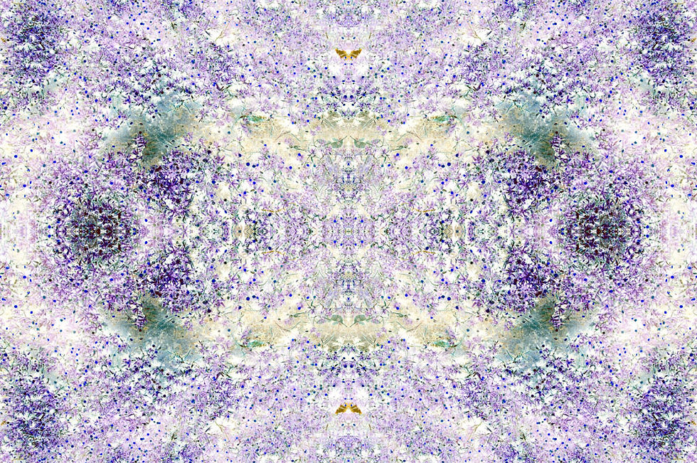 Untitled (Ethereal 14)