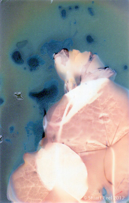 Untitled (Sungram 22)