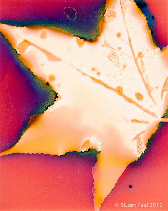 Untitled (Sungram 05)