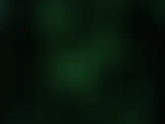 16-Mastering Website Animations: A Comprehensive Guide