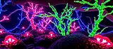 Creatorz+_Signal_Poetic_Cryptic_Neural_ID_WIOWY7H0.webp