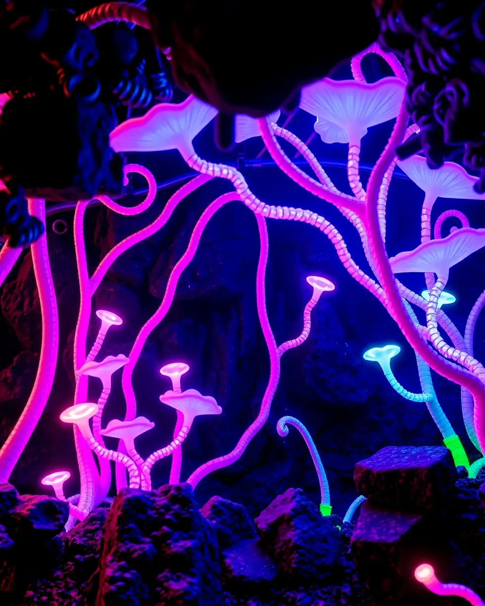 8KVPI4H0-CreatorzPlus-SignalPlus-Alien-Fungi-Glowing-