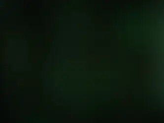 2. Structured Chatbots vs AI Chatbots: What’s the Difference?