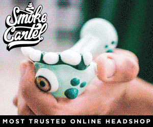 rectangle-ad-01.gif.pagespeed.ce.0F1rWKl