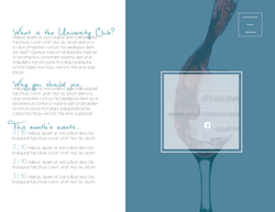 Direct Mail piece for client