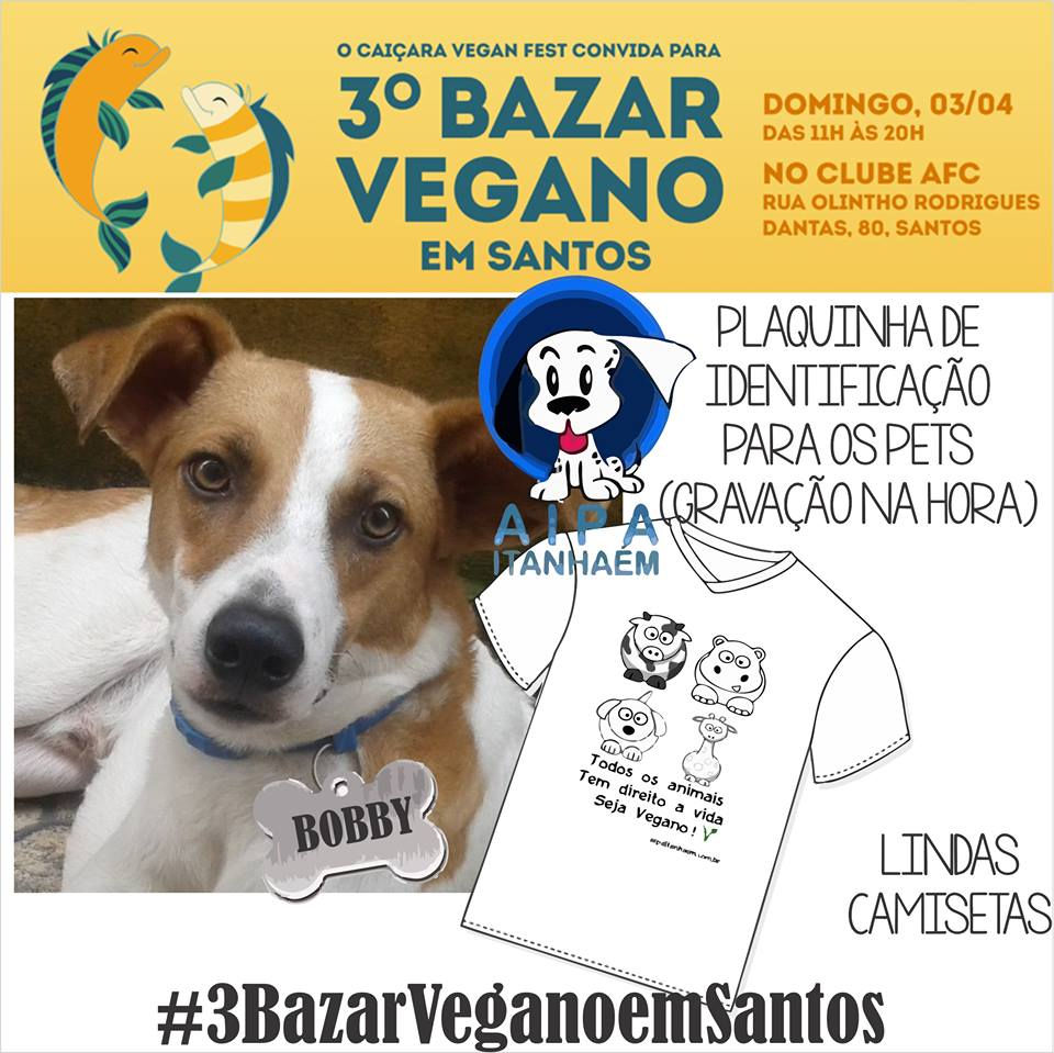 3° Bazar Vegano Santos