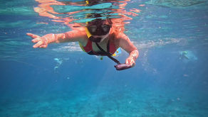 Me on the day I jumped into the ocean and snorkeled in Turks and Caicos