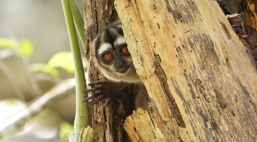 Encuentro Fotográfico “Mujeres a la Montaña”: Una Experiencia de Conexión, Emoción y Fotografía