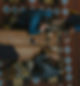jessica-sysengrath-1uWTR1fcnI0-unsplash_edited_edited_edited.jpg