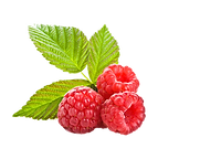 Raspberry UV Protection