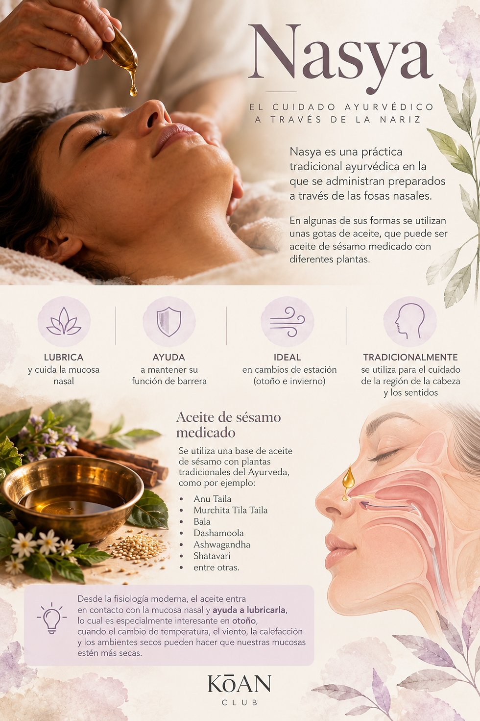 Soltar la coraza: un viaje de otoño a través del Ayurveda