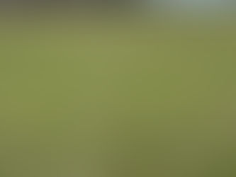 Nu har rangen öppnat!