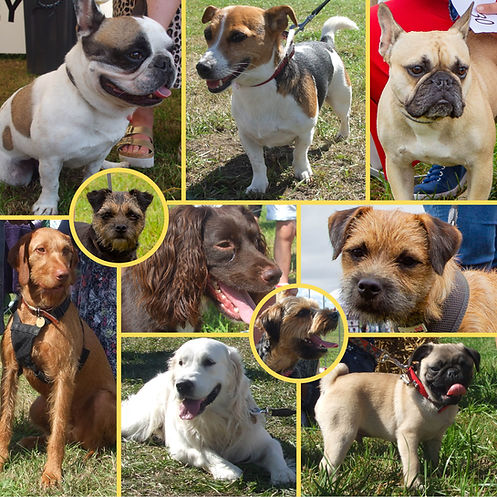 Corsley Fayre Dogs