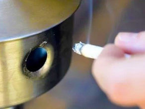 Bituca de cigarro vira papel reciclado em projeto inovador da UnB