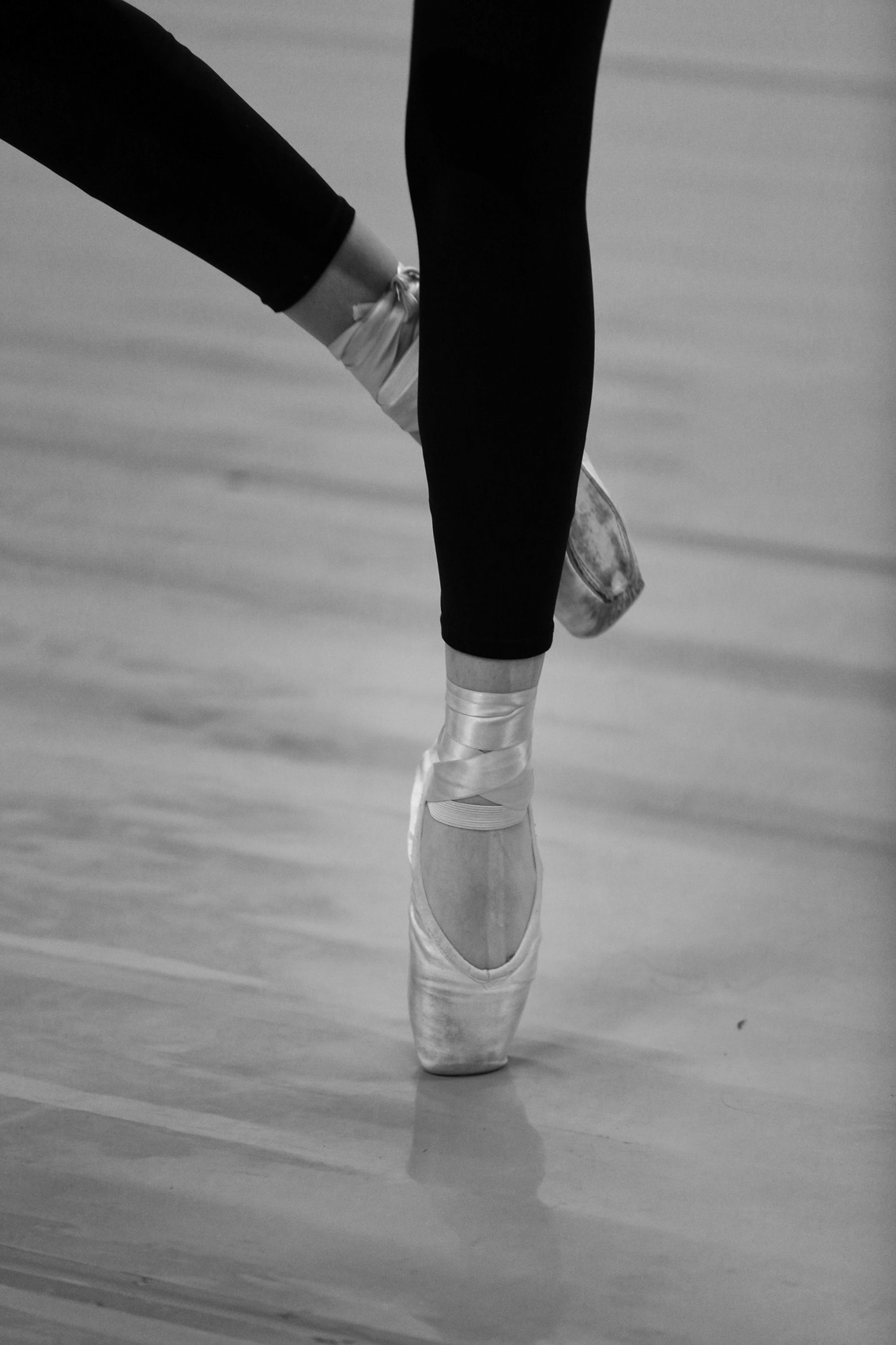 Delicadeza en movimiento II